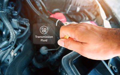 Volvo Transmission Fluid Change